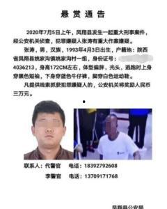 陕西凤翔爆料案件最新,案情最新进展及社会关注焦点”
