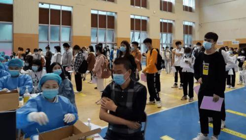 迪拜爆料网赌事件最新消息,揭秘背后惊人内幕 第3张 迪拜爆料网赌事件最新消息,揭秘背后惊人内幕 第3张