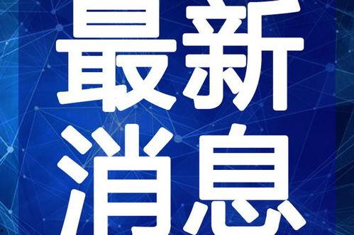 爆料重庆狼队视频最新版,精彩瞬间回顾与深度解析 第2张 爆料重庆狼队视频最新版,精彩瞬间回顾与深度解析 第2张