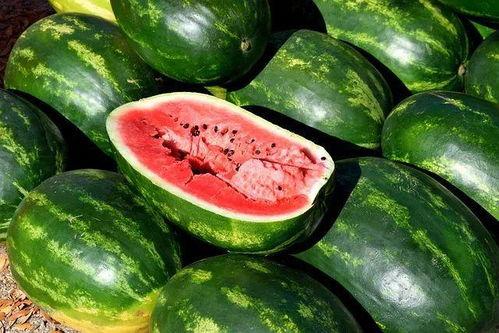 吃瓜视频素材下载免费观看,免费下载吃瓜视频,畅享无界限的娱乐时光 第2张 吃瓜视频素材下载免费观看,免费下载吃瓜视频,畅享无界限的娱乐时光 第2张