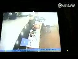 朱大方爆料海洋视频,海洋奇观视频背后的震撼真相  第2张